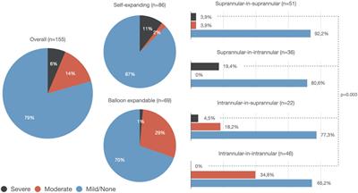Prosthesis-patient mismatch following transcatheter aortic valve replacement for degenerated transcatheter aortic valves: the TRANSIT-PPM international project